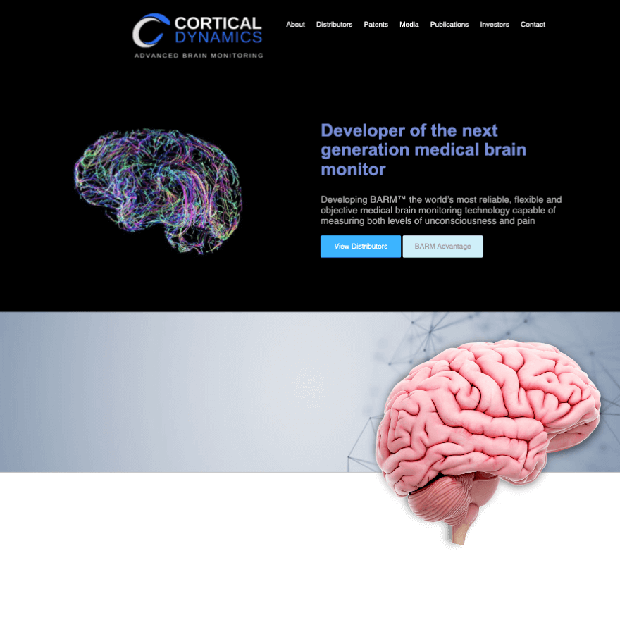 Web design for Cortical Dynamics in Perth
