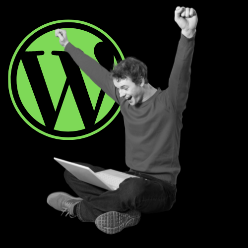 WordPress Web Design Perth